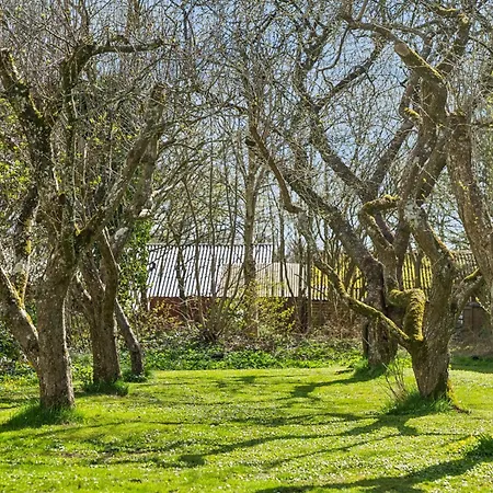 Spacious Near For 11 Holiday home Ribe